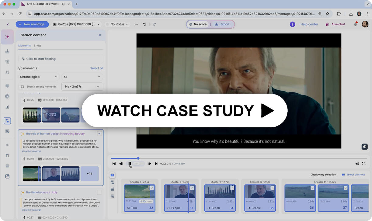 Play case study Aive Meta LLAMA